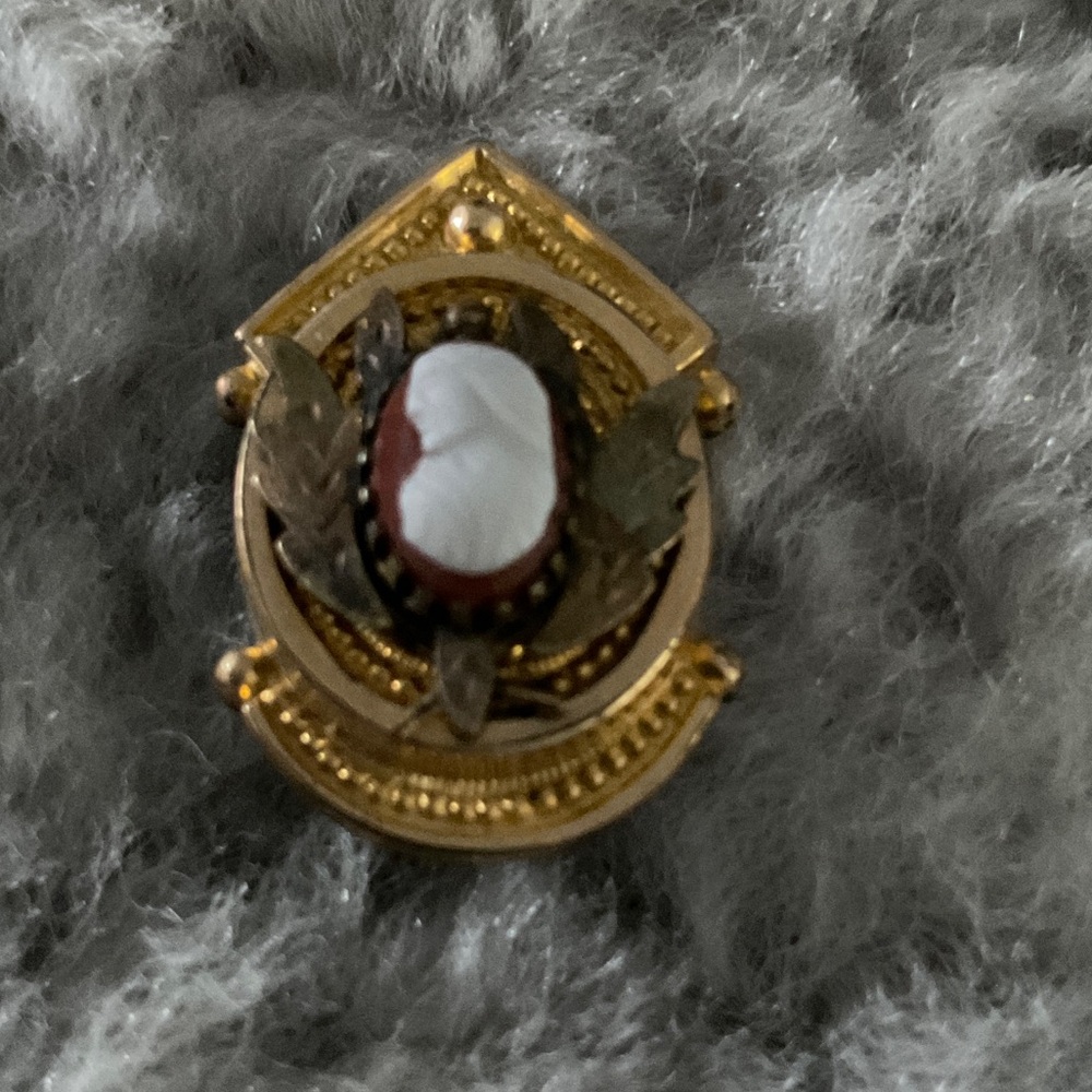 Antique Gold and Red Cameo Brooch